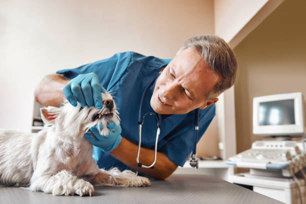 Best Weekend Emergency Dentist in Ferriday, LA